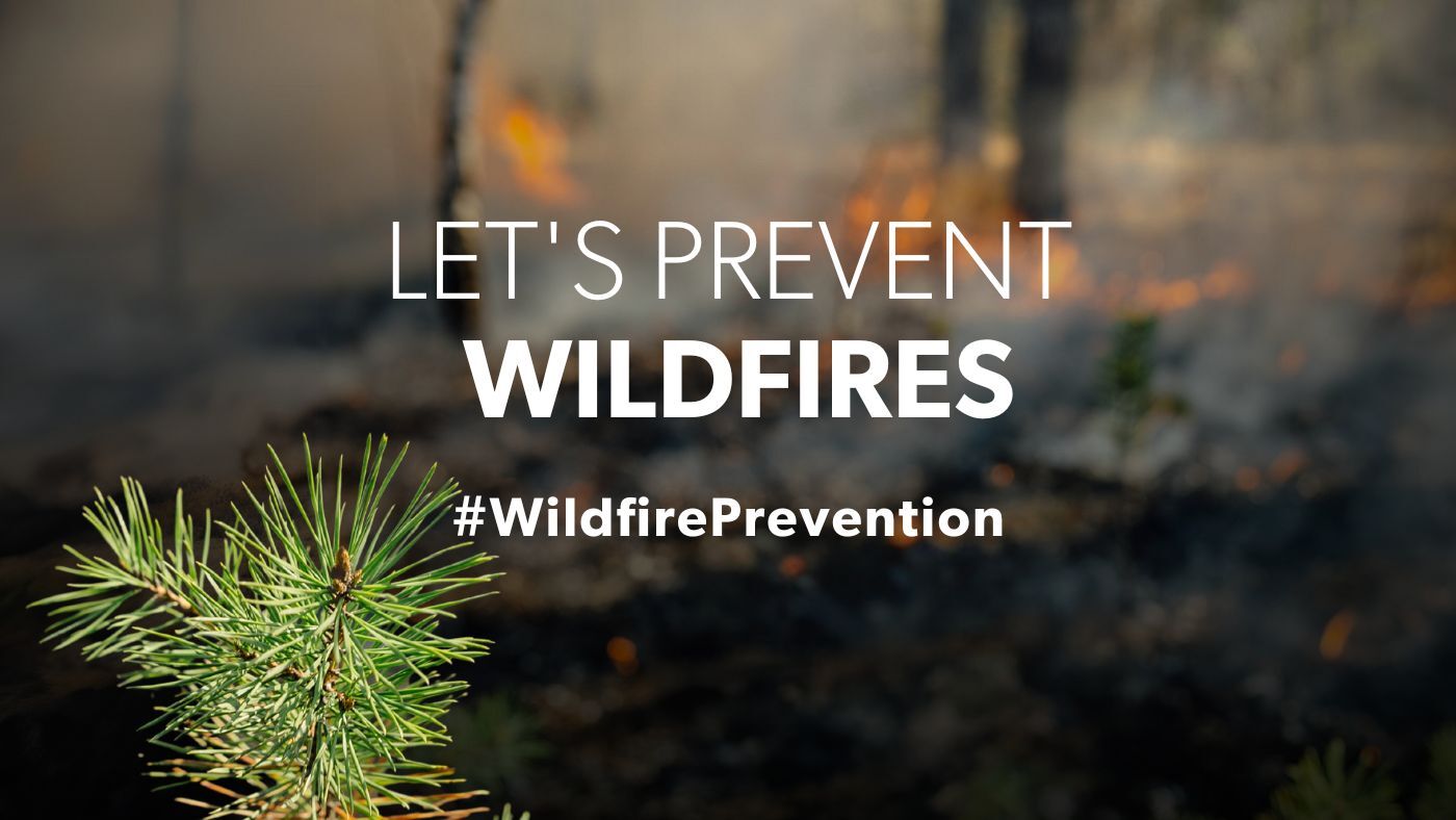 pine trees on fire with text saying lets prevent wildfires